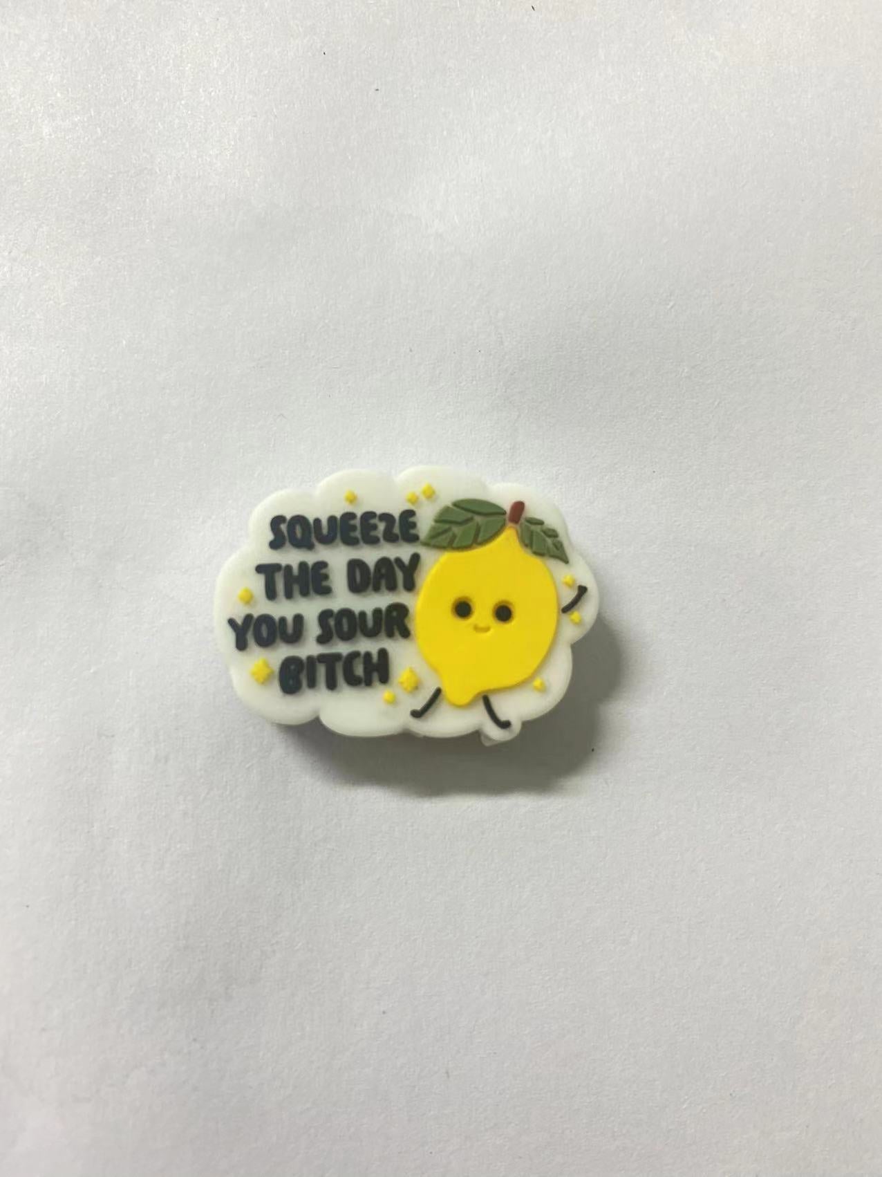 Squeeze the day you sour bitch Focal beads